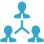 Consulting Services