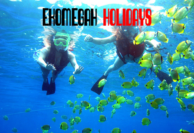 ekomegah holidays sdn bhd